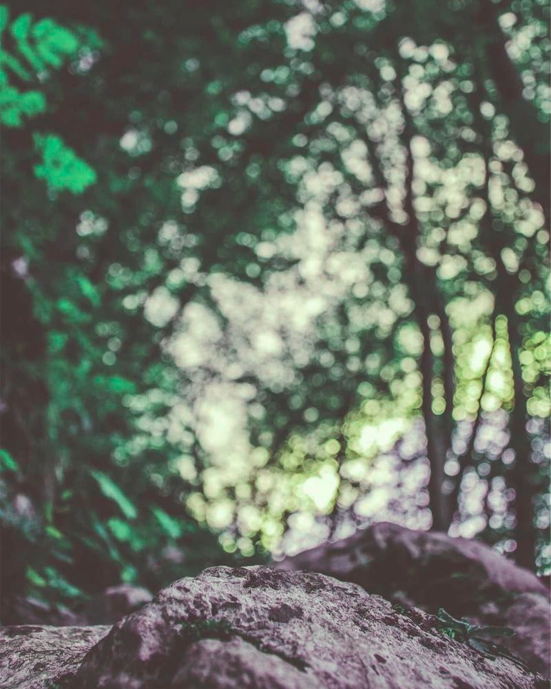 Look Scene Skirt