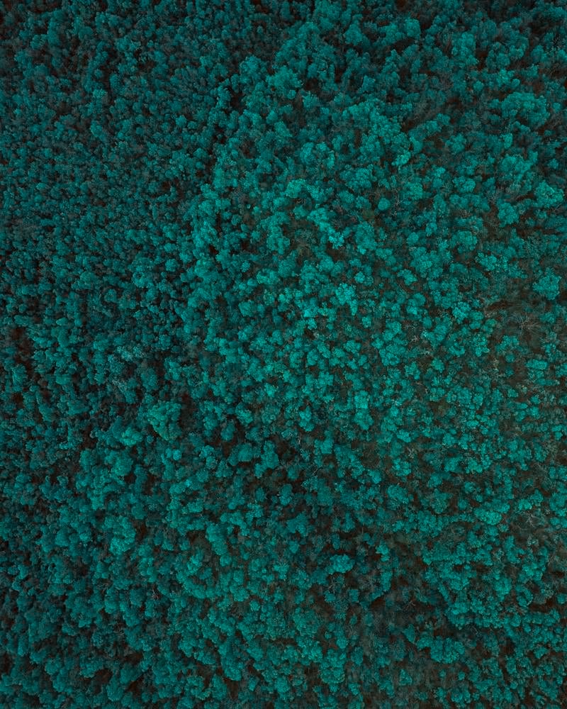 Memb Sub Silk