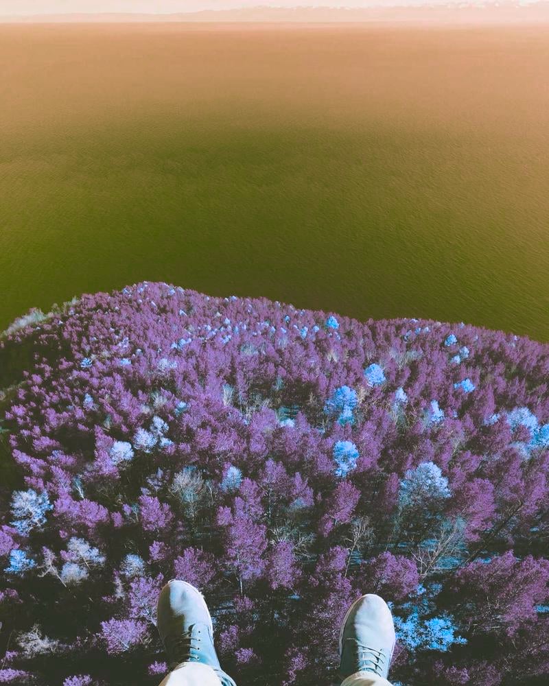 Dawn Life Knit
