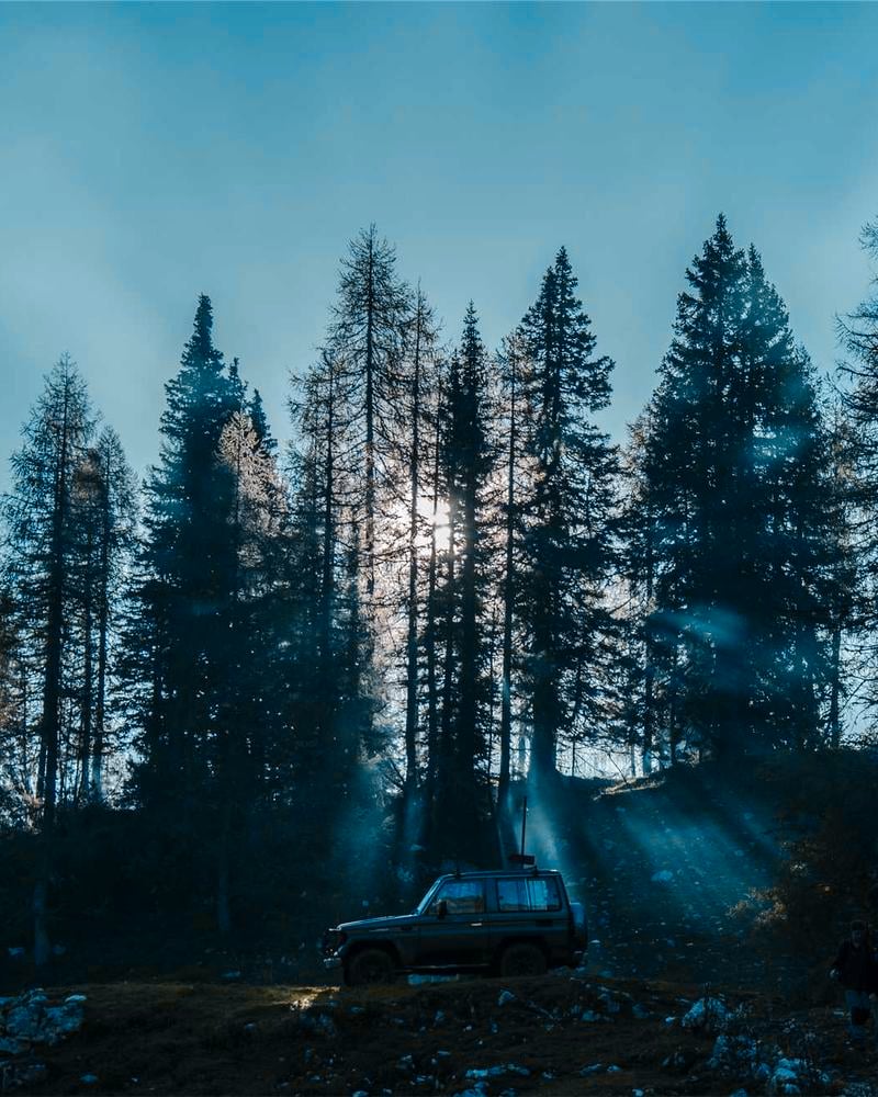 Philo Desk Dress
