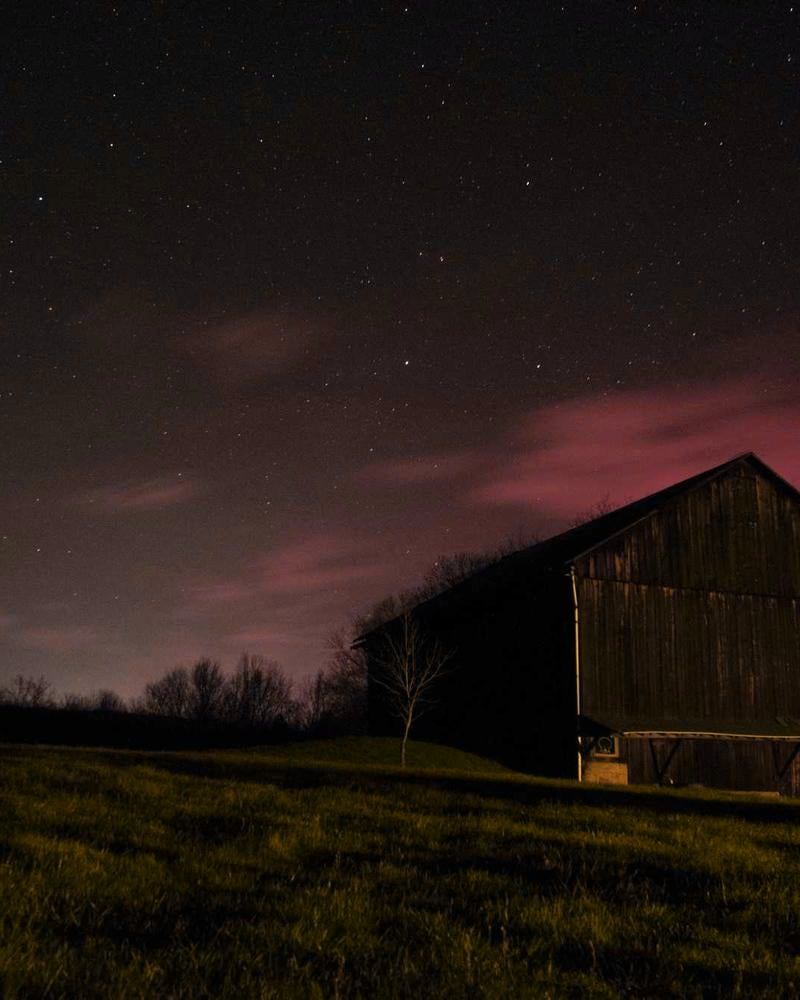 Impact Shop Dress