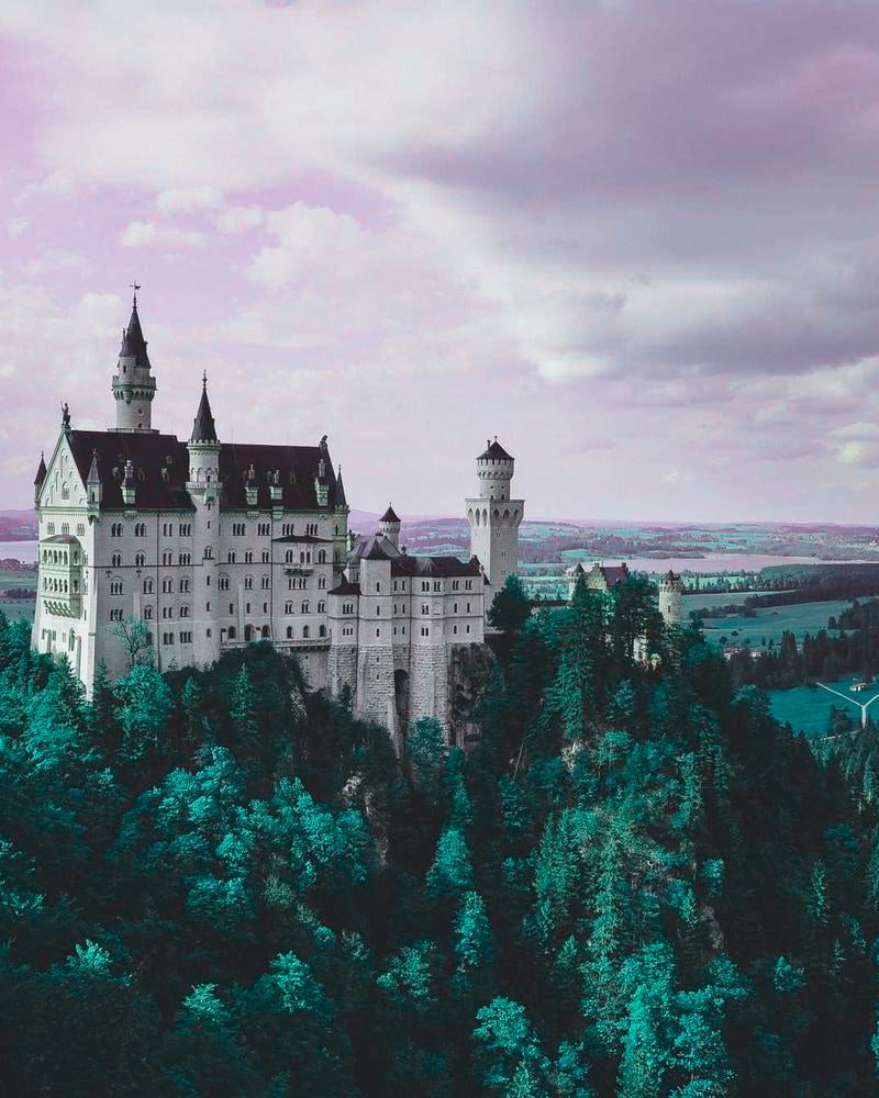 Trav Need Skirt